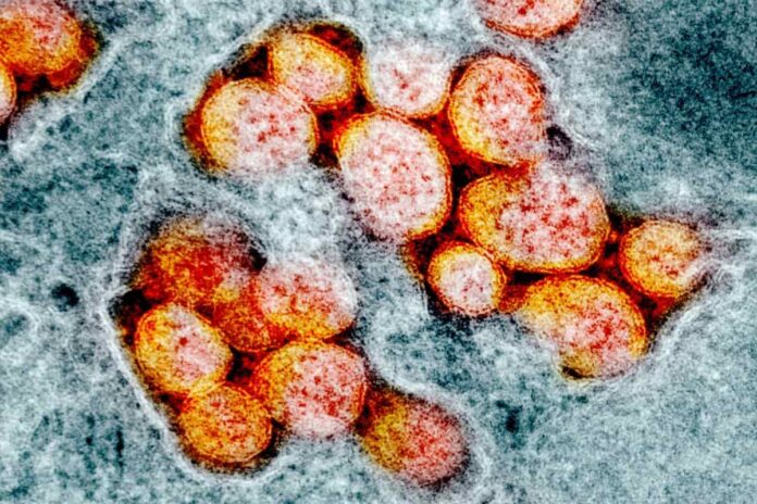Coronavirus toscana 18 marzo bollettino casi contagi
