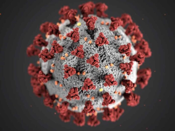Coronavirus in Toscana, il punto sul contagio