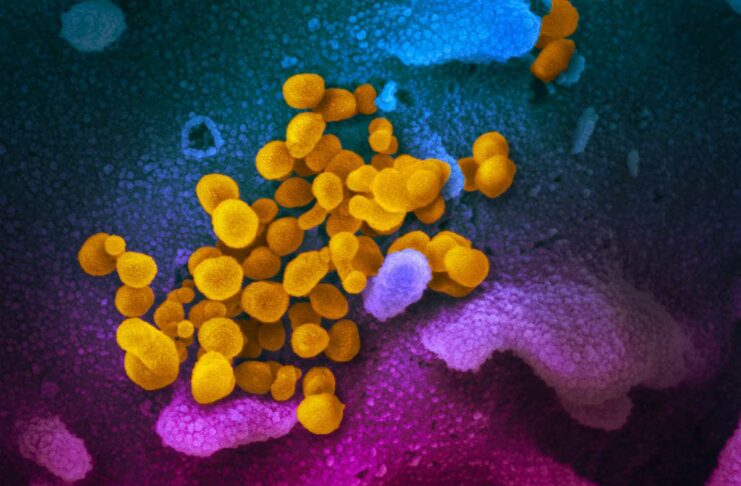 Coronavirus in Toscana: i dati e le notizie del 9 aprile