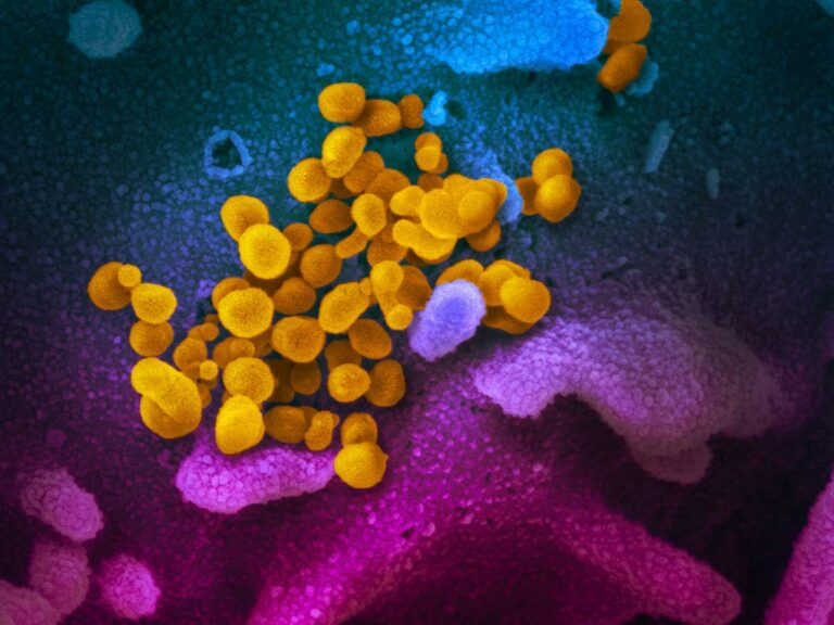 Coronavirus, così si frena il contagio: intervista al professor Paolo Bonanni