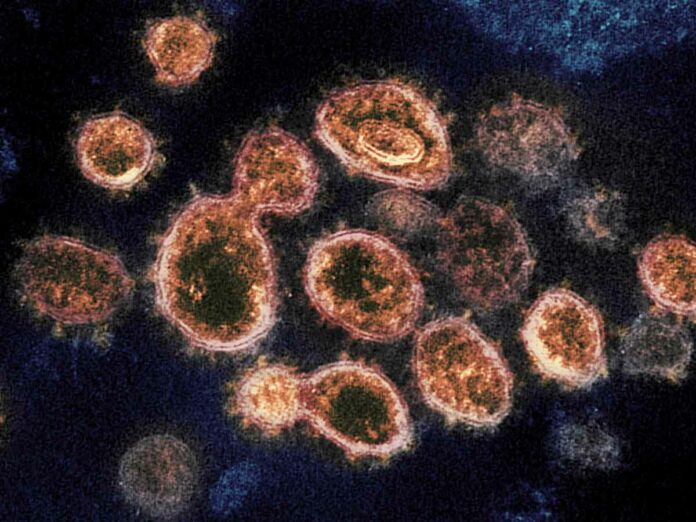 Tampone per coronavirus: come funziona e chi lo deve fare