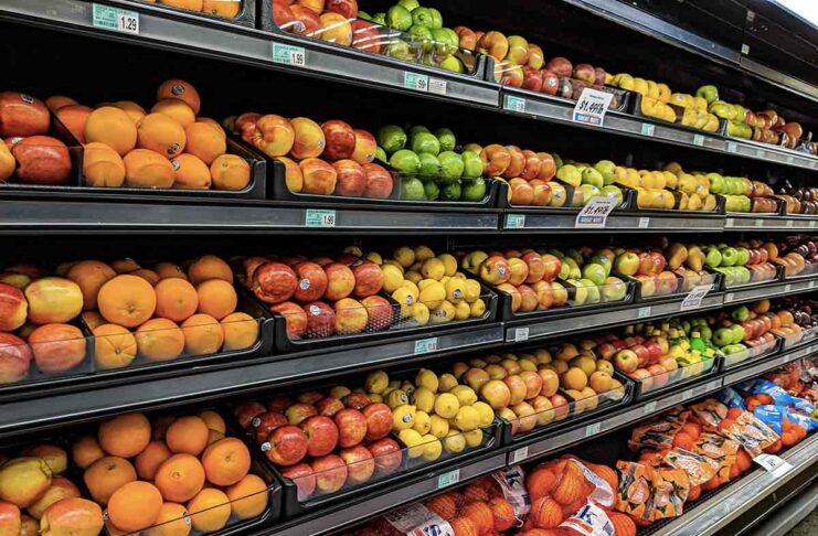Spesa online, come fare: da Esselunga a Conad, da Coop a Lidl