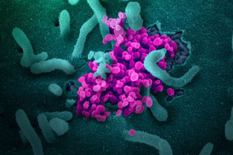 Calano i ricoveri, 139 nuovi casi: il bollettino sul coronavirus in Toscana