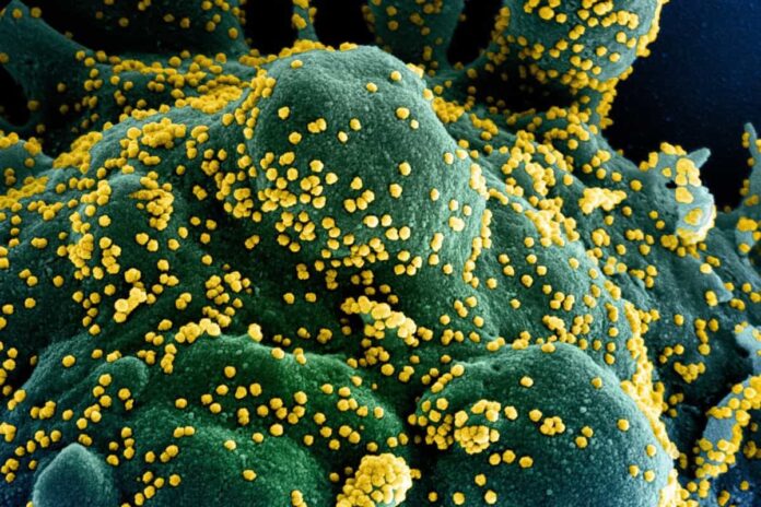 coronavirus toscana 30 maggio dati ultime notizie bollettino
