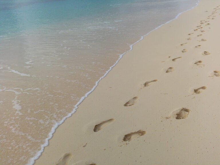 Spiagge libere 2020 e coronavirus: il “regolamento” per andare al mare