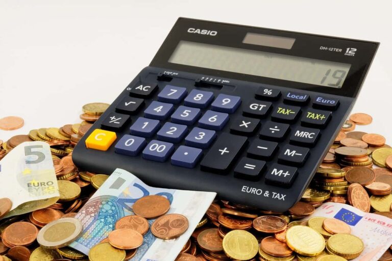Reddito e bonus: si può sapere a quanto corrisponde il calcolo dell’Isee?