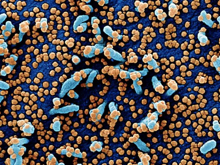 Solo 26 i nuovi casi, R0 allo 0,7: il contagio frena in Toscana