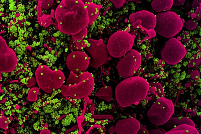 14 nuovi casi e 6 morti: in Toscana il coronavirus frena