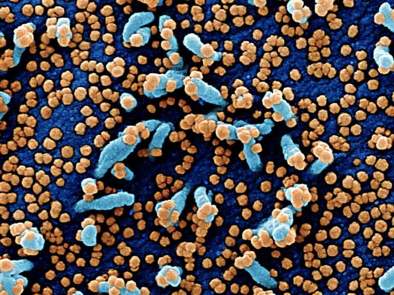 Coronavirus, in Toscana 12 casi e sei decessi: il bollettino del 27 maggio