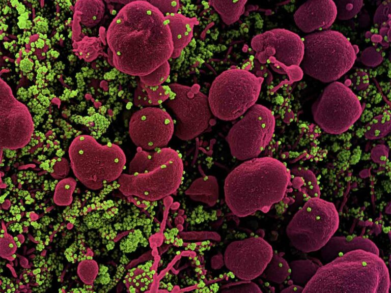 Coronavirus, 12 nuovi casi in Toscana. Solo due i decessi