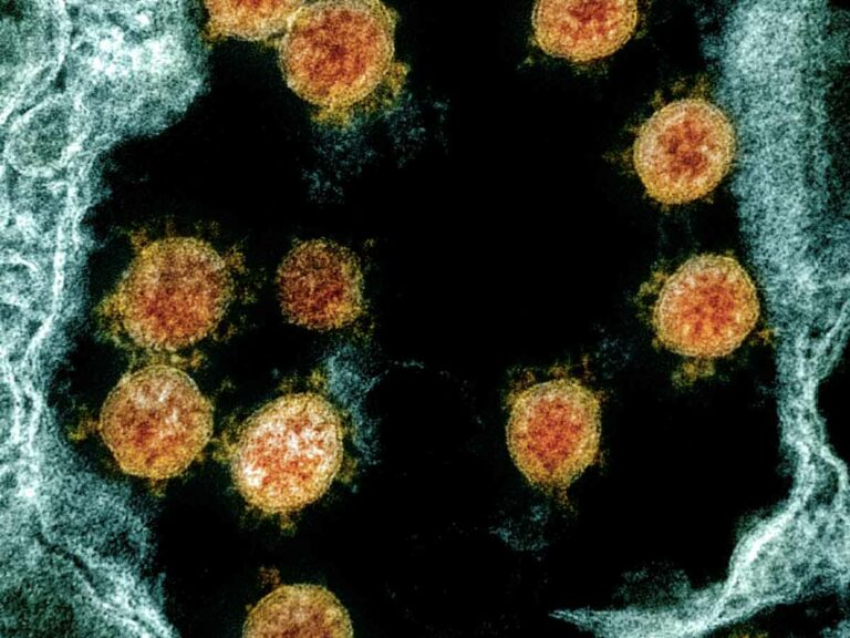 Coronavirus, solo cinque nuovi casi in Toscana