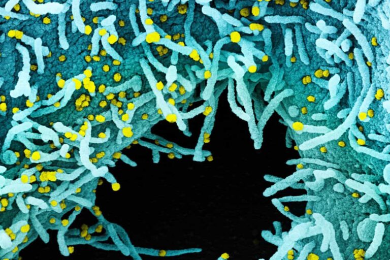 Coronavirus in Toscana: i casi e le news dal bollettino del 20 luglio