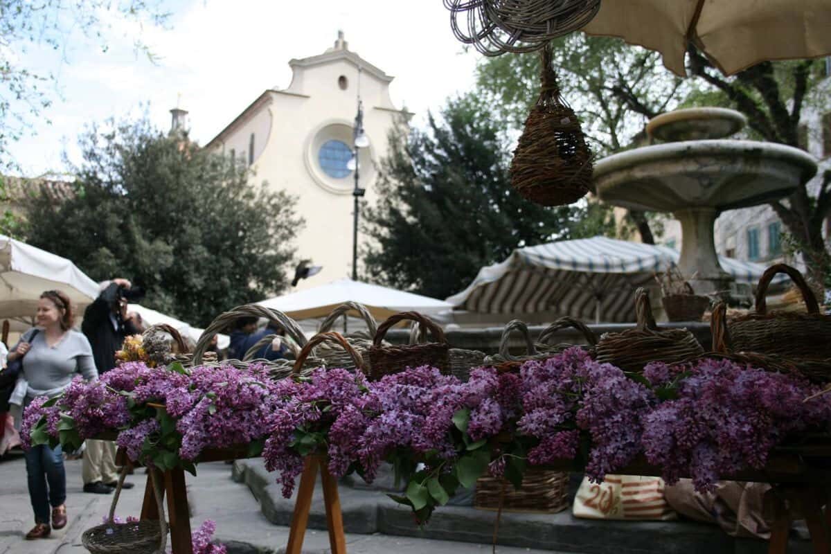 Fierucola Santo Spirito