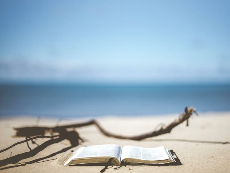 Libri da leggere nell’estate 2020: i consigli del libraio