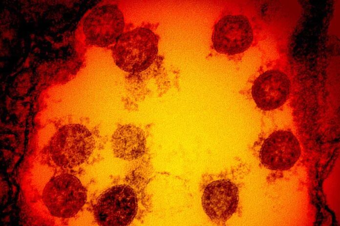 coronavirus Toscana 1° settembre 2020 casi dati notizie bollettino