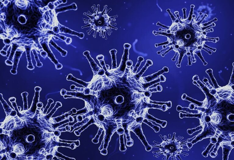 Coronavirus in Toscana, i dati di oggi 16 novembre
