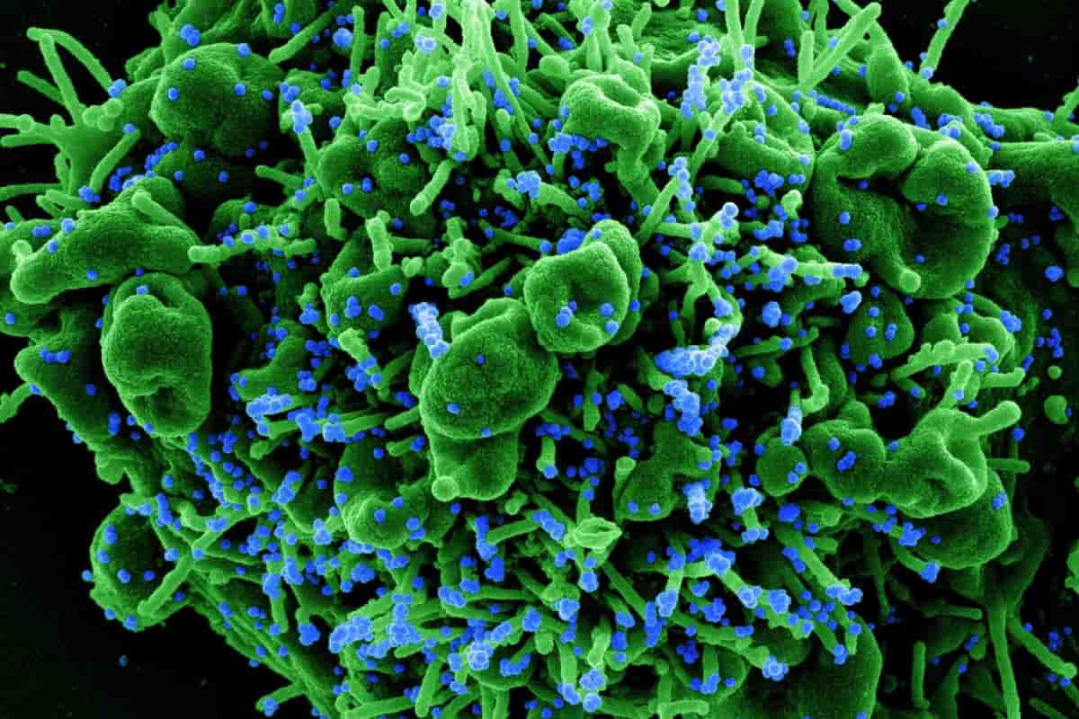 Covid Toscana 27 gennaio 2021 contagi oggi bollettino coronavirus aggiornamento casi positivi