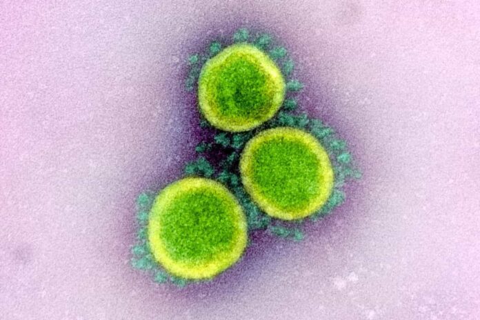 dati covid toscana 25 febbraio contagi casi bollettino coronavirus