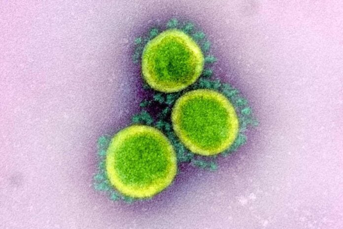 dati covid toscana oggi 16 febbraio bollettino regione toscana coronavirus