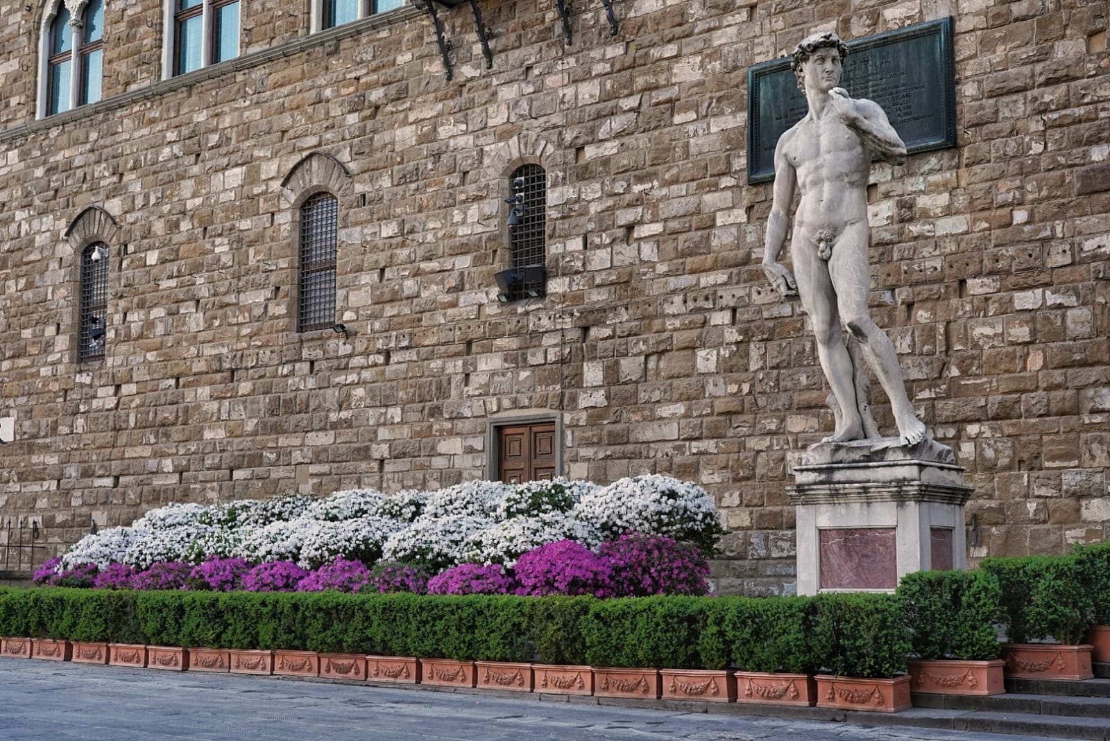 azalee a Palazzo Vecchio per festeggiare Pasqua