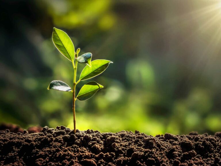 In arrivo bando da 20 milioni per l’agricoltura sostenibile in Toscana
