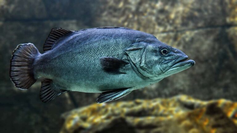 Coprifuoco a Firenze anticipato alle 20.30, ma è un pesce di aprile