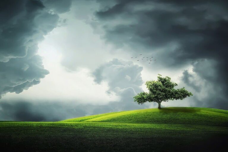 Cambiamento climatico, 3 libri per raccontarlo