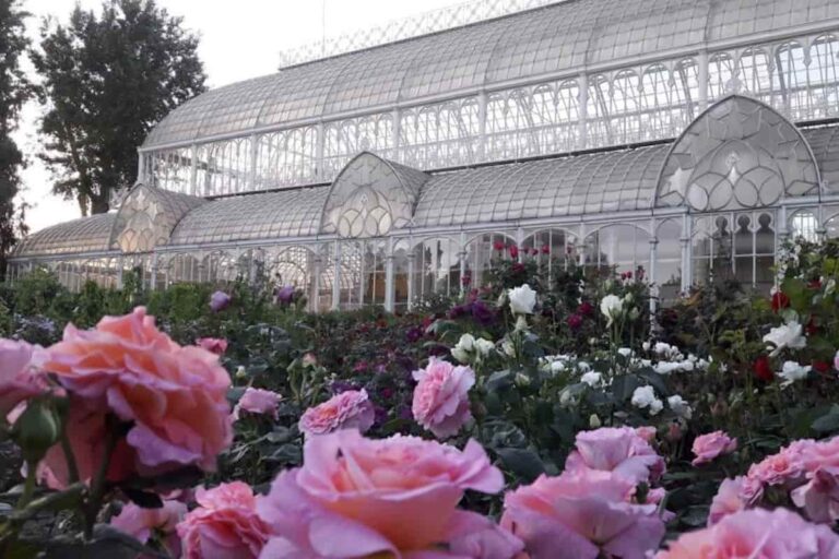 Mostra fiori 2021 nel giardino orticoltura di Firenze per il ponte del 2 giugno