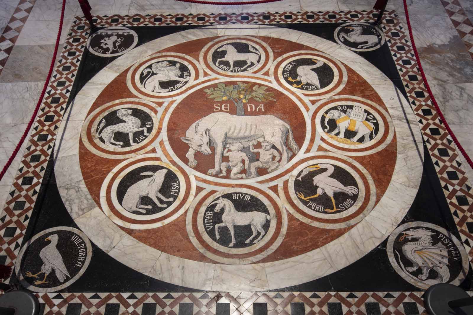 Lupa pavimento Duomo Siena
