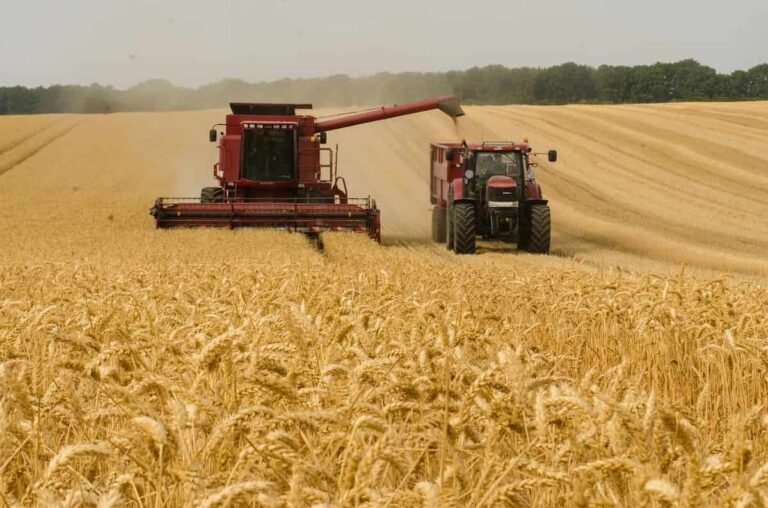Bonus 800 euro braccianti agricoli 2021: quando arriva. Al via le domande