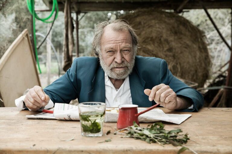Cinema all’aperto, gratis: alle Cascine rassegna su Monni