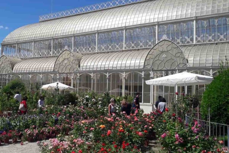 Mostra dei fiori a Firenze: l’evento dell’autunno 2021 nel giardino dell’Orticoltura