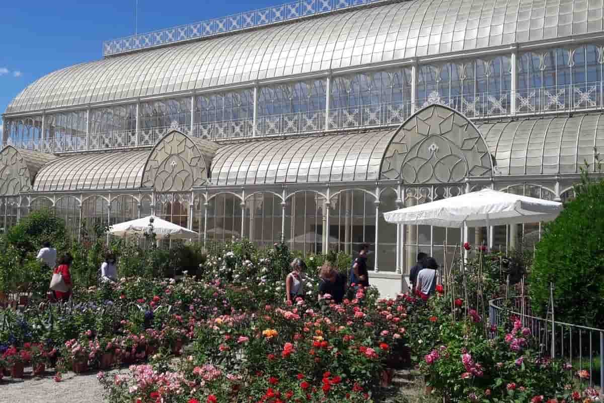 Mostra fiori Firenze 2021 giardino orticoltura orari green pass