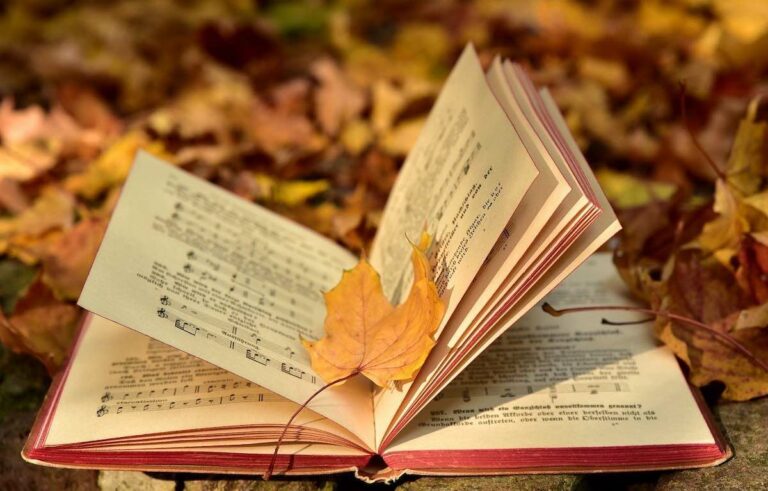 Libri da leggere, tre romanzi che parlano di musica
