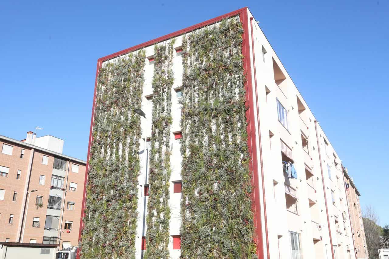 pareti verdi firenze
