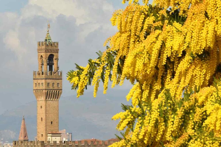 Festa della donna 2022 a Firenze: musei gratis l’8 marzo, eventi, flash mob