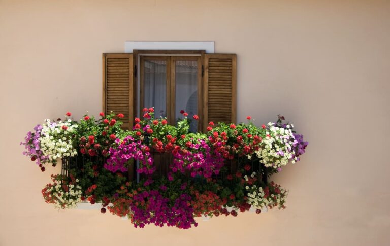 Fiori a Fiorenza 2022: torna il concorso per il balcone più bello