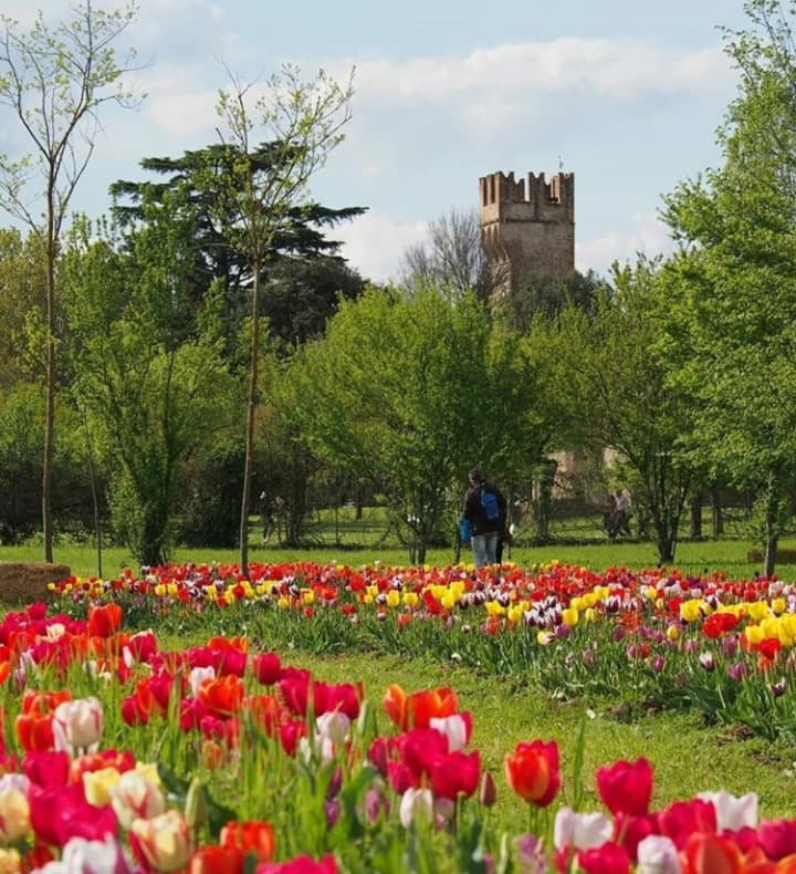 Parco tulipani Firenze Scandicci