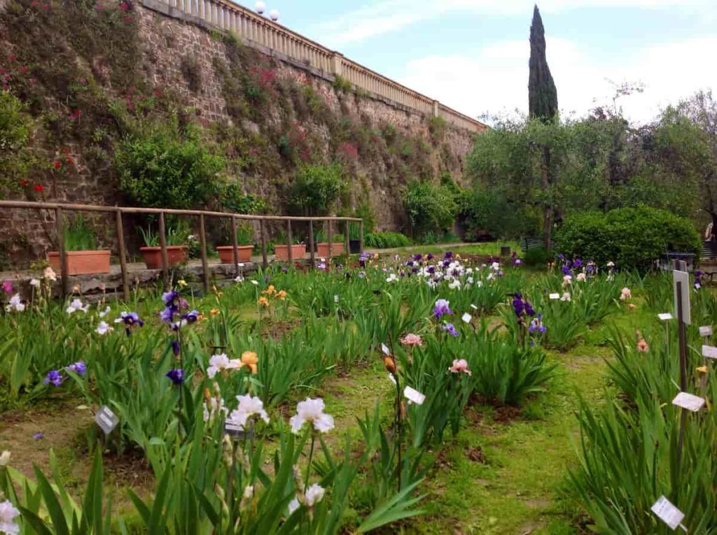 Giardino dell'Iris Firenze apertura festa liberazione 2022
