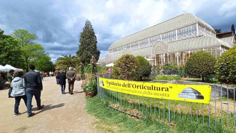 Mostra dei fiori 2022 a Firenze: colori d’autunno al giardino dell’Orticoltura