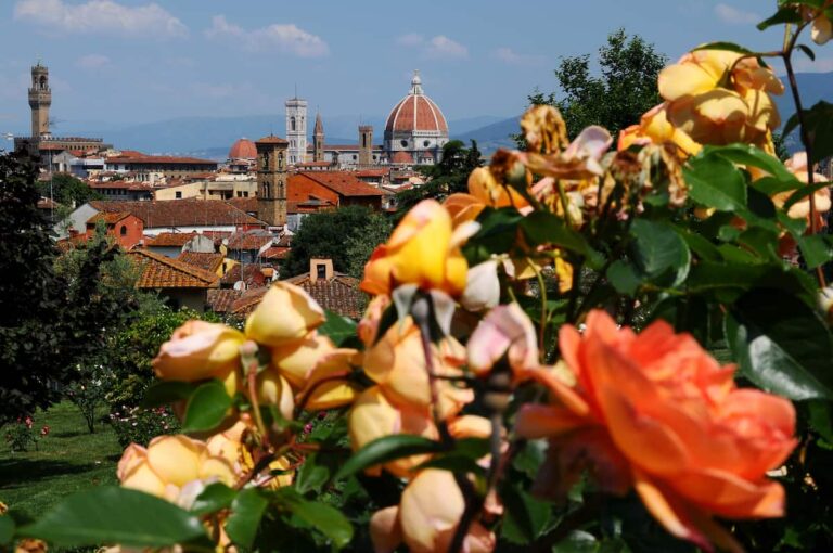 Giardino delle rose di Firenze: gli orari e come visitarlo