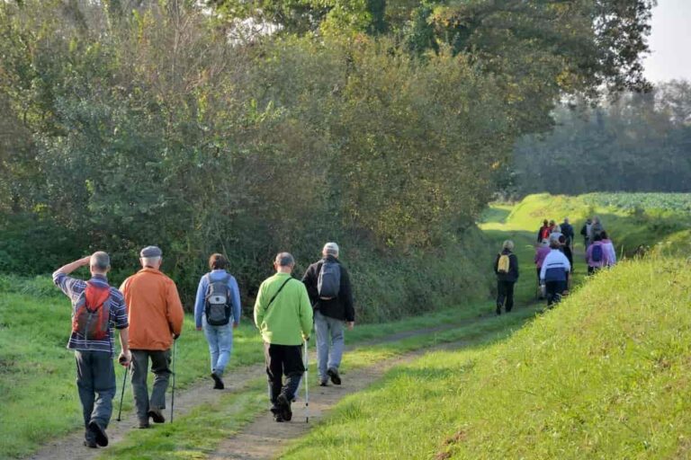 Passeggiate della Salute 2022 a Firenze: gli appuntamenti nei quartieri
