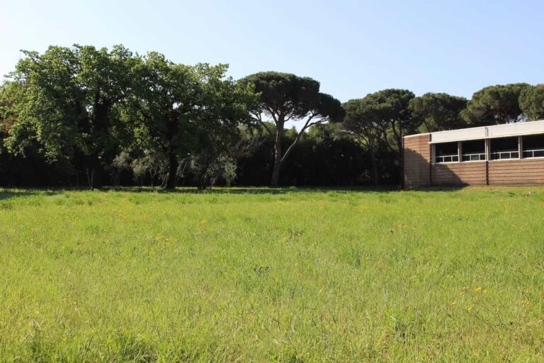 Il Museo Ginori apre il suo giardino: un nuovo punto verde vicino a Firenze