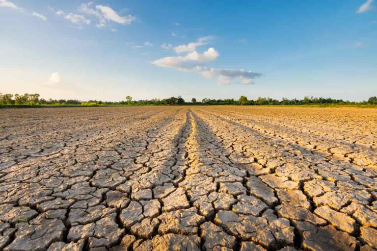Cosa significa lo stato di emergenza per la siccità in Toscana