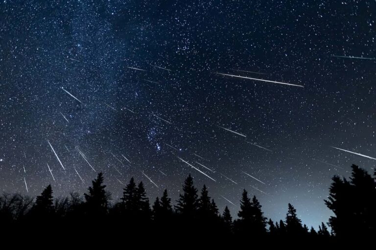 La notte di San Lorenzo a Firenze: i punti dove vedere le stelle cadenti