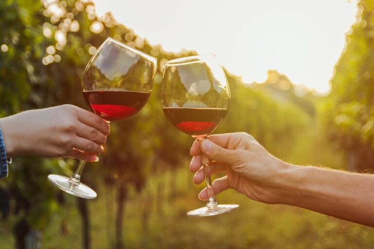 Cantine Aperte 2022: le località in Toscana