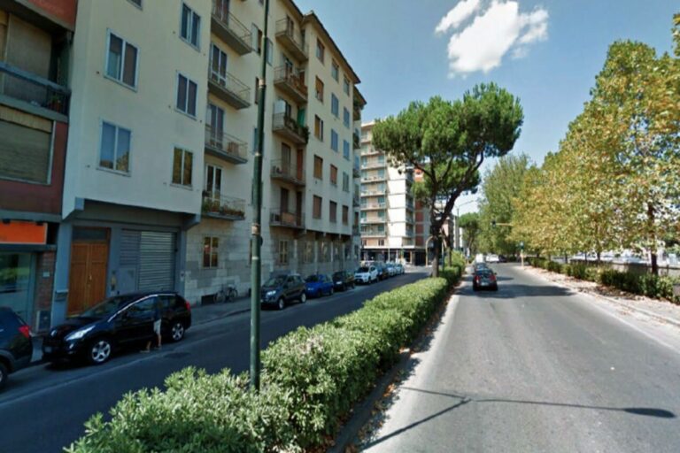 Taglio degli alberi in viale Redi a Firenze: le polemiche e il progetto del Comune
