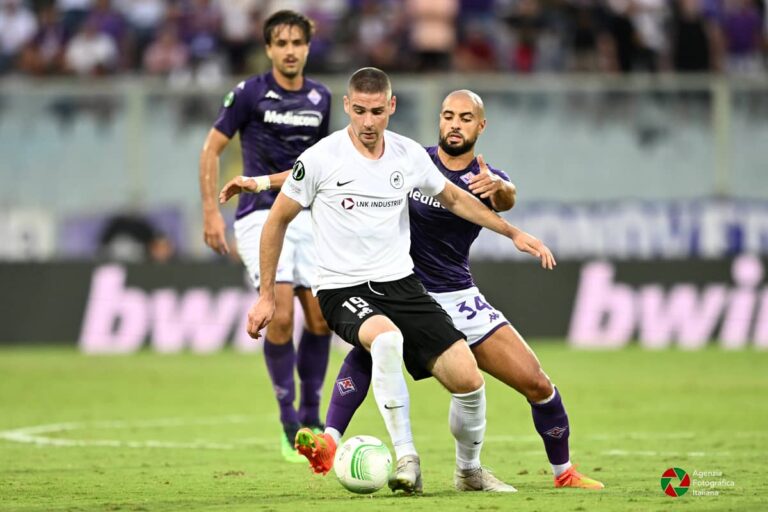 La Fiorentina torna a giocare col Toro in Coppa Italia