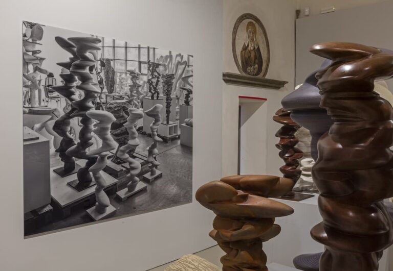 “Tony Cragg.Transfer”, la mostra al Museo Novecento di Firenze