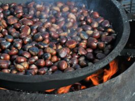 sagra delle castagne vicino a Firenze